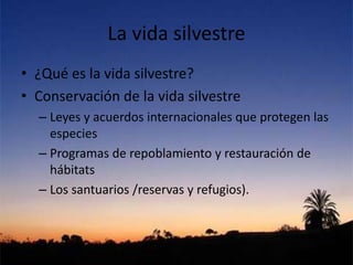 La vida silvestre
• ¿Qué es la vida silvestre?
• Conservación de la vida silvestre
– Leyes y acuerdos internacionales que protegen las
especies
– Programas de repoblamiento y restauración de
hábitats
– Los santuarios /reservas y refugios).
 
