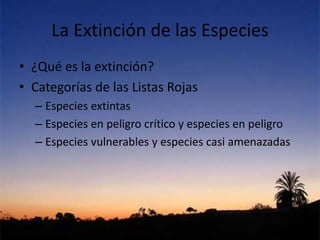 La Extinción de las Especies
• ¿Qué es la extinción?
• Categorías de las Listas Rojas
– Especies extintas
– Especies en peligro crítico y especies en peligro
– Especies vulnerables y especies casi amenazadas
 