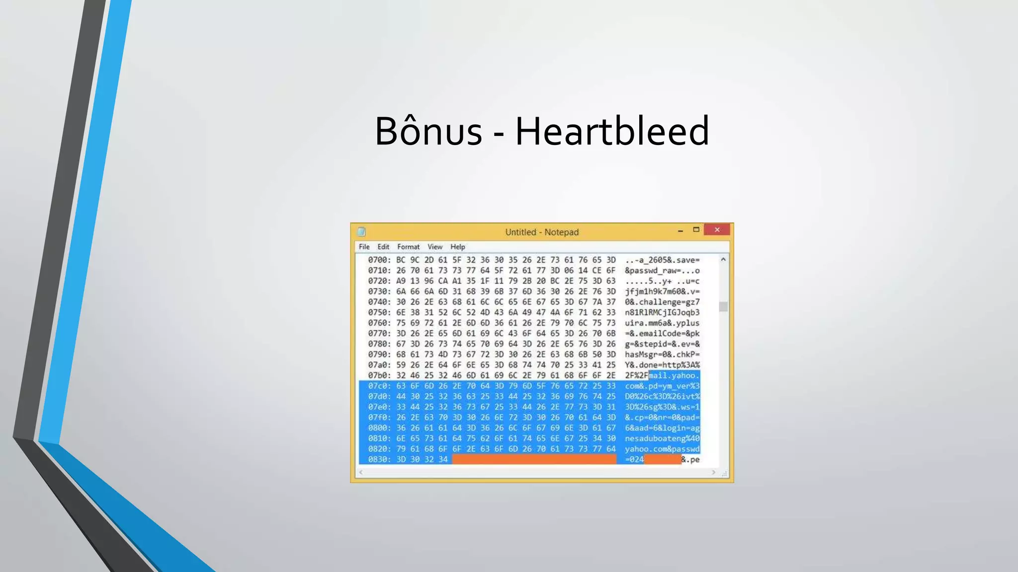 Bônus - Heartbleed 
 