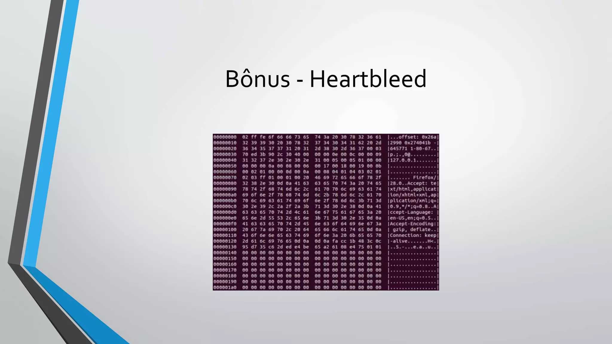 Bônus - Heartbleed 
 