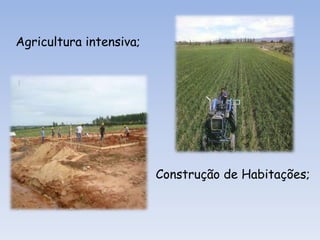 Introdução de espécies alóctones invasivas;Poluição;Alterações climáticas globais;