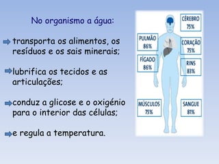 Matéria prima de produção;