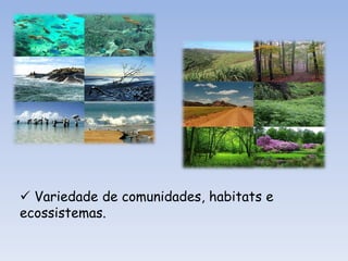 Motivos económicos  - a diminuição de espécies pode prejudicar actividades já existentes .Pode ainda comprometer a sua utilização futura (ex. para produção de medicamentos). Não podemos esquecer que pelo menos 40% da economia mundial e 80% das necessidades dos povos dependem dos recursos biológicos;