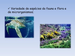 Motivos funcionais da natureza, dado que a redução da biodiversidade leva a perdas ambientais. Isto acontece porque as espécies estão interligadas por mecanismos naturais com importantes funções (ecossistemas), como a regulação do clima; purificação do ar; protecção dos solos e das bacias hidrográficas contra a erosão; controlo de pragas; 