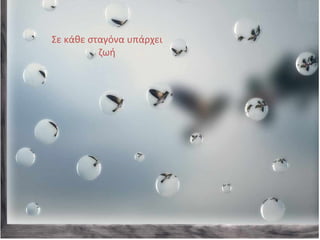Σε κάθε σταγόνα υπάρχει
ζωή
 