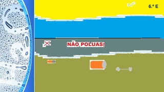 6.º E
 