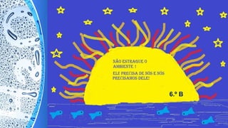 6.º B
 