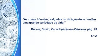“As zonas húmidas, salgadas ou de água doce contêm
uma grande variedade de vida.”
 
Burnie, David, Enciclopédia da Natureza, pág. 74
5.º A
 
