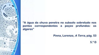 “A água da chuva penetra no subsolo sobretudo nos
pontos correspondentes a poços profundos: os
algares”
 
Pinna, Lorenzo, A Terra, pág. 53
5.º D
 