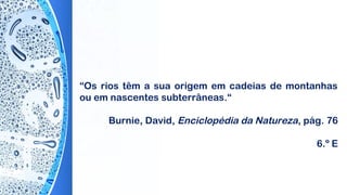 “Os rios têm a sua origem em cadeias de montanhas
ou em nascentes subterrâneas.“
Burnie, David, Enciclopédia da Natureza, pág. 76
6.º E
 