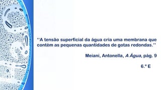 ‘‘A tensão superficial da água cria uma membrana que
contém as pequenas quantidades de gotas redondas.’’
Meiani, Antonella, A Água, pág. 9
6.º E
 