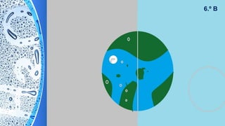 6.º B
 