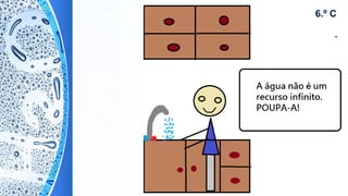 6.º C
 