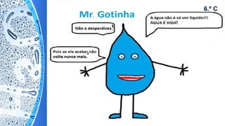6.º C
 