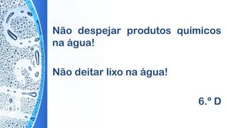 Não despejar produtos químicos
na água!
Não deitar lixo na água!
6.º D
 
