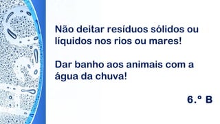 Não deitar resíduos sólidos ou
líquidos nos rios ou mares!
Dar banho aos animais com a
água da chuva!
6.º B
 