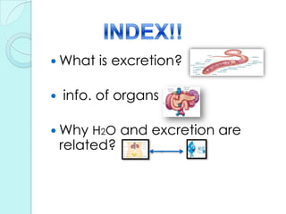 INDEX!!What is excretion? info. of organsWhy H2O and excretion are related?