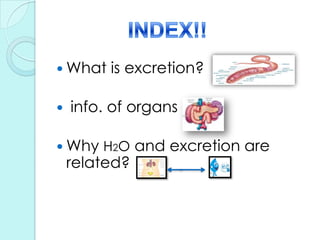 INDEX!!What is excretion? info. of organsWhy H2O and excretion are related?
