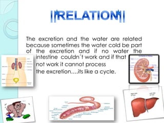 H2O AND EXCRETION !!
