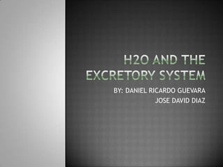 H2O AND THE EXCRETORY SYSTEM BY: DANIEL RICARDO GUEVARA JOSE DAVID DIAZ 
