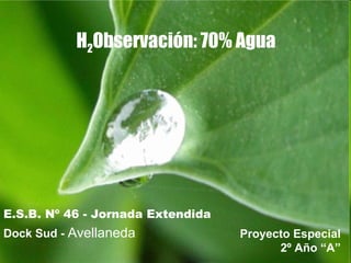 H 2 Observación: 70% Agua ,[object Object],[object Object],Proyecto Especial 2º Año “A” 