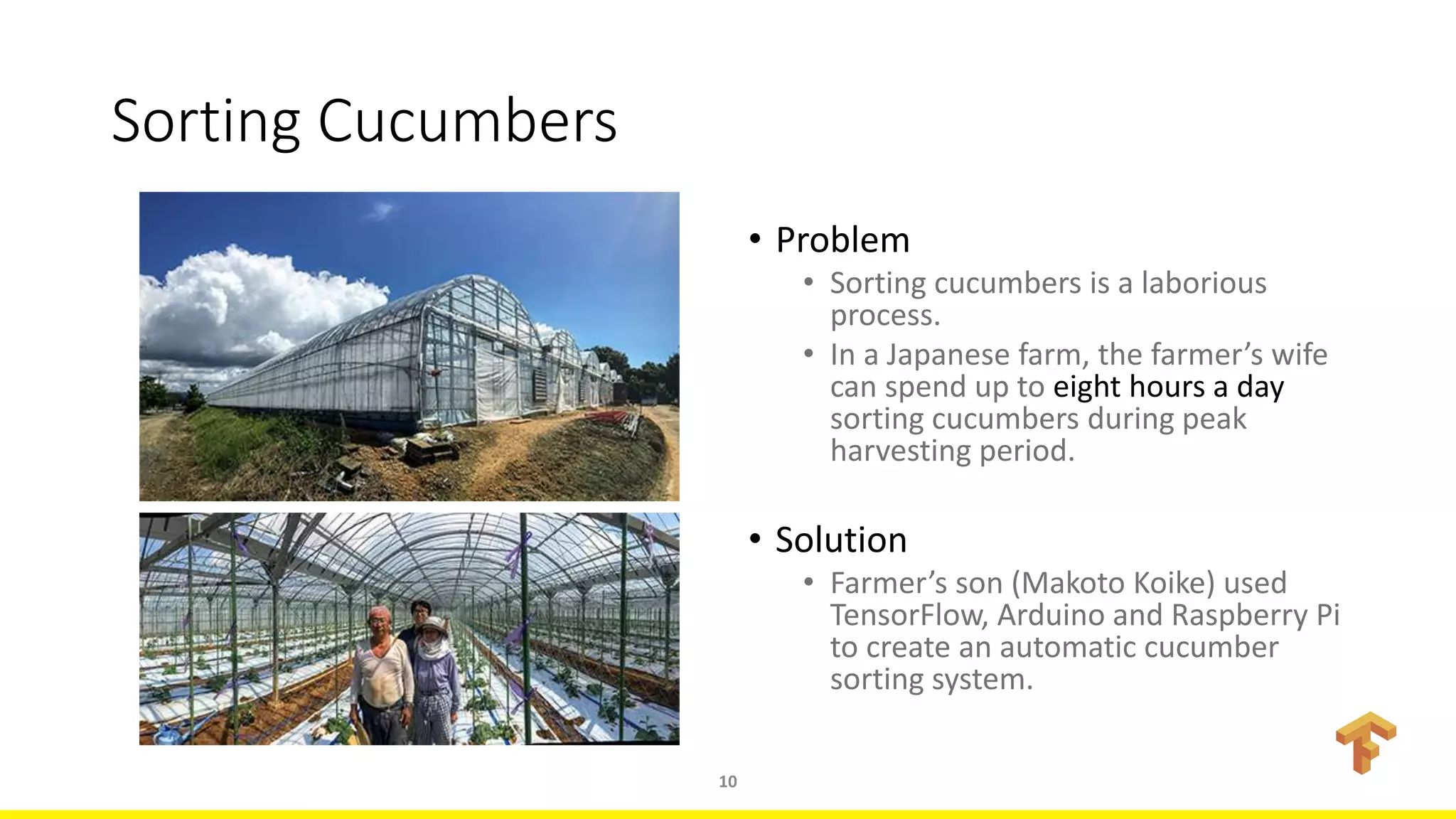 Sorting Cucumbers
• Problem
• Sorting cucumbers is a laborious
process.
• In a Japanese farm, the farmer’s wife
can spend up to eight hours a day
sorting cucumbers during peak
harvesting period.
• Solution
• Farmer’s son (Makoto Koike) used
TensorFlow, Arduino and Raspberry Pi
to create an automatic cucumber
sorting system.
10
 
