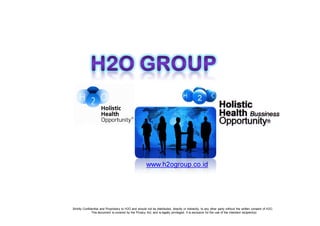 H2O Group Briefing Program 4 Partner