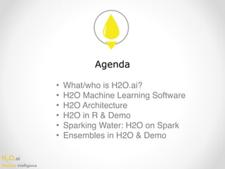 H2O.ai 
Machine Intelligence
Agenda
• What/who is H2O.ai?
• H2O Machine Learning Software
• H2O Architecture
• H2O in R & Demo
• Sparking Water: H2O on Spark
• Ensembles in H2O & Demo
 