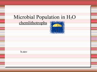Microbial Population in H 2 O chemlithotrophs b.stev 