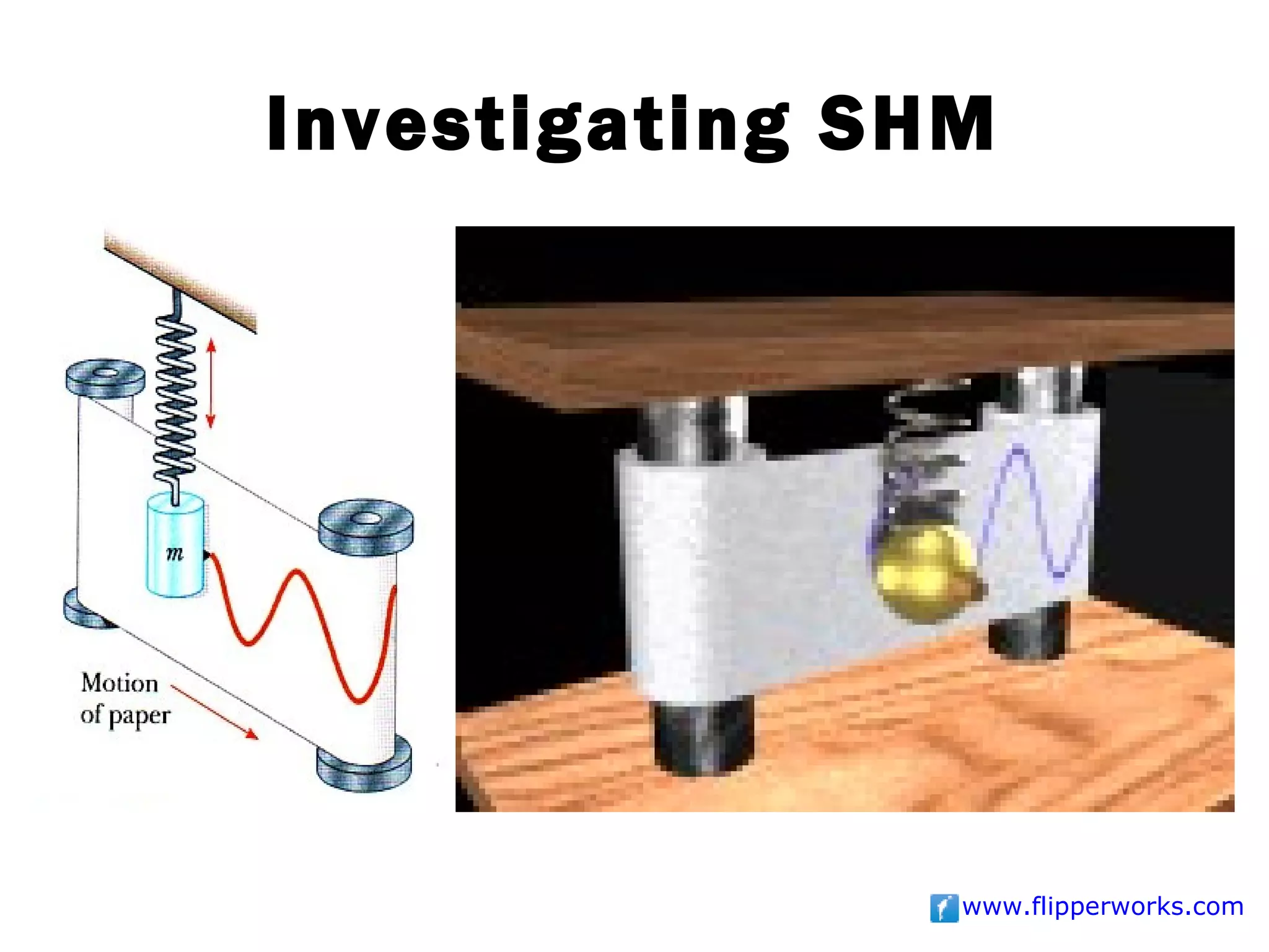 Investigating SHM




                www.flipperworks.com
 