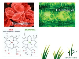 Environmental Chemicals
