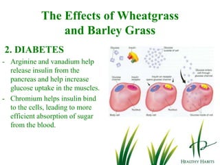 So You Need to Take Vitamins But How Do You Know Which One?