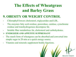 And here's the short answer: synthetic vitamins should be avoided. Most cheaper-brand multivitamins are synthethic. Vitamins, minerals and phytonutrients should always be sourced from natural plant-based sources.   1Kg Fruits and Vegetables = 1 Sachet of        Drink