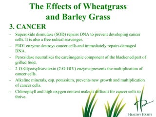 Red Blood Cells and White Blood Cell