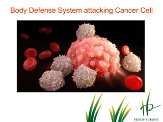 The Elements of Wheatgrass andBarley Grass