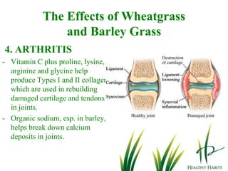 Other amino acids are used in making Procollagen Type IV which prevents the formation of atherosclerotic plaques in blood vessels.Atherosclerosis