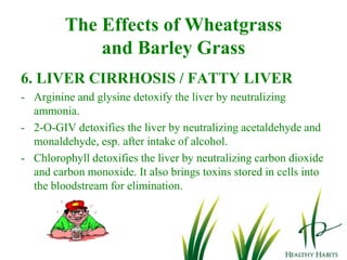 Chromium helps insulin bind to the cells, leading to more efficient absorption of sugar from the blood.The Effects of Wheatgrass and Barley Grass9. OBESITY OR WEIGHT CONTROL- 	Chlorophyll lowers cholesterol, triglycerides and LDL.The enzymes fatty acid oxidase, peroxidase, catalase, cytochromeoxidase and transhydrogenase decompose fat.