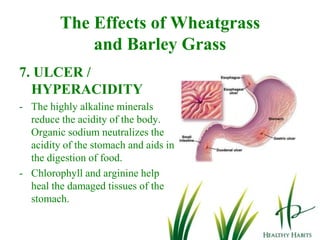 Soluble fiber metabolizes fat, cholesterol and carbohydrates.