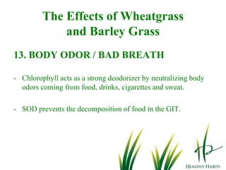 P4D1 enzyme destroys cancer cells and immediately repairs damaged DNA.