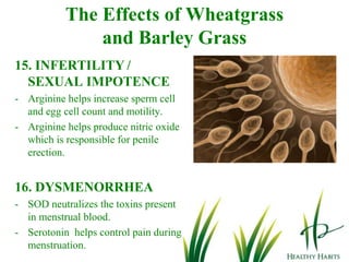 2-O-Glycosylisovitexin (2-O-GIV) enzyme prevents the multiplication of cancer cells.
