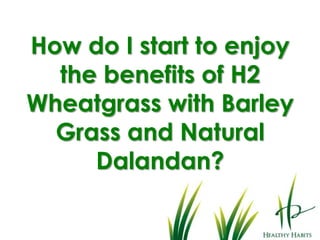 Chlorophyll and high oxygen content make it difficult for cancer cells to thrive.