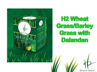 Body Defense System attacking Cancer Cell