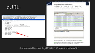 cURL
https://daniel.haxx.se/blog/2018/01/15/inspect-curls-tls-traffic/
 