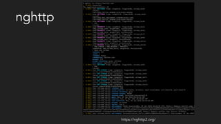 nghttp
https://nghttp2.org/
 