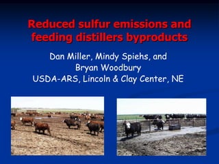 Dan Miller, Mindy Spiehs, and
Bryan Woodbury
USDA-ARS, Lincoln & Clay Center, NE
Reduced sulfur emissions and
feeding distillers byproducts
 