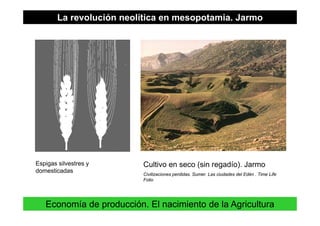 La revolución neolítica en mesopotamia. Jarmo
Espigas silvestres y Cultivo en seco (sin regadío) JarmoEspigas silvestres y
domesticadas
Cultivo en seco (sin regadío). Jarmo
Civilizaciones perdidas. Sumer. Las ciudades del Edén . Time Life
Folio
17
Economía de producción. El nacimiento de la Agricultura
 