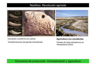 Neolítico. Revolución agrícola
Inscripción cuneiforme con cabras
T f i d l d d ti d
Agricultura con excedentes
C l d i hi ó iTransformaciones del ganado domesticado Canales de riego prehistóricos en
mesopotamia actual
18Economía de producción. Domesticación y agricultura
 