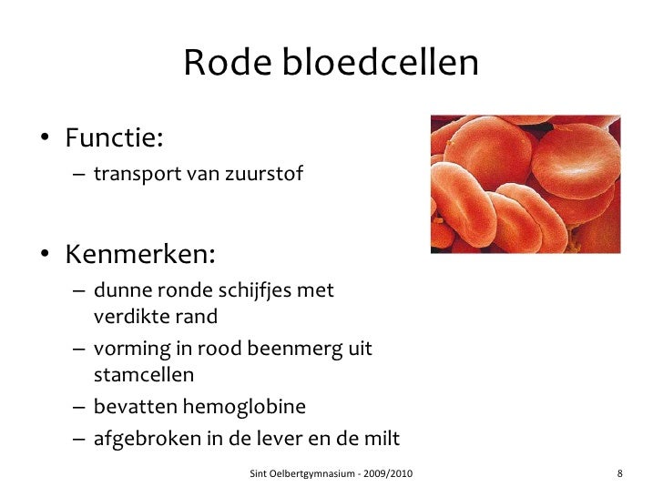 Hoofdstuk 32 - Audesirk