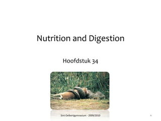 Nutrition and Digestion Hoofdstuk 34 1 Sint Oelbertgymnasium - 2009/2010 