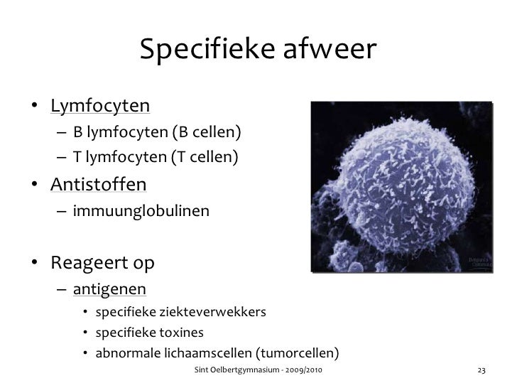 Hoofdstuk 36 - Audesirk